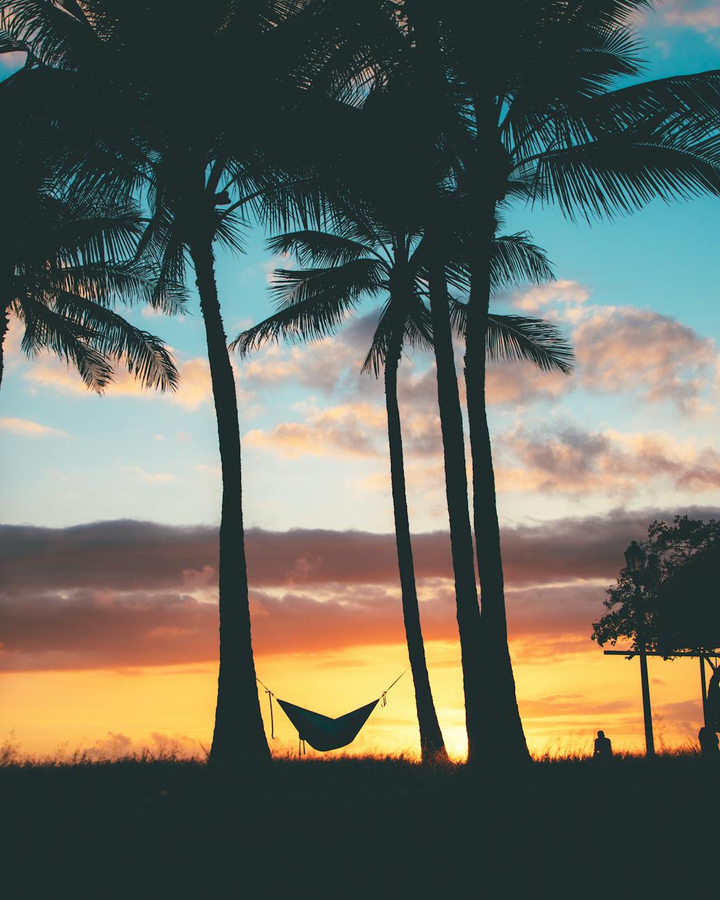 beautiful hawaiian sunset with palm trees and a hammock silhouette creating a relaxing tropical scene