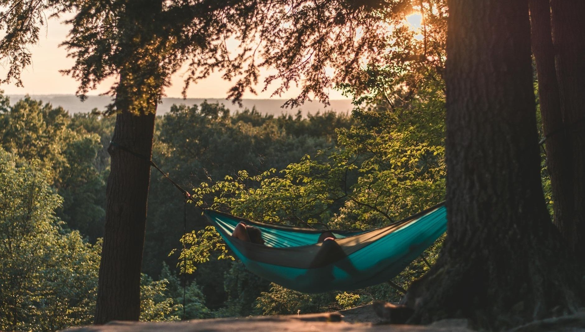 serene scene of a person relaxing in a hammock amidst a sunlit forest capturing tranquility