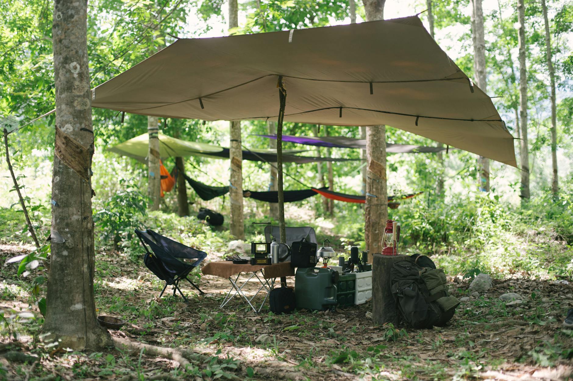 outdoor camping setup with equipment and hammocks under tree canopy in the forest
