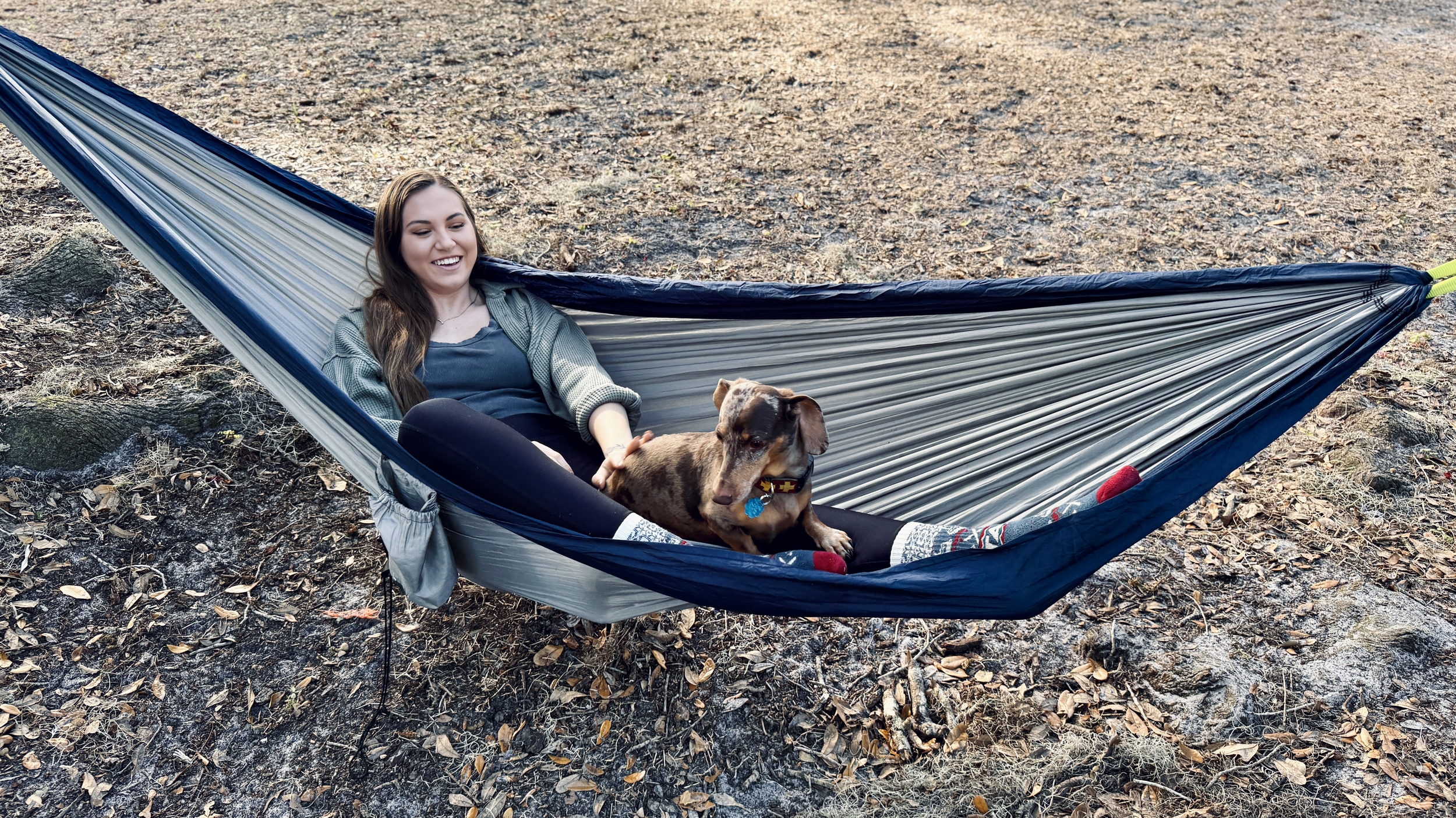 hammockwith dog