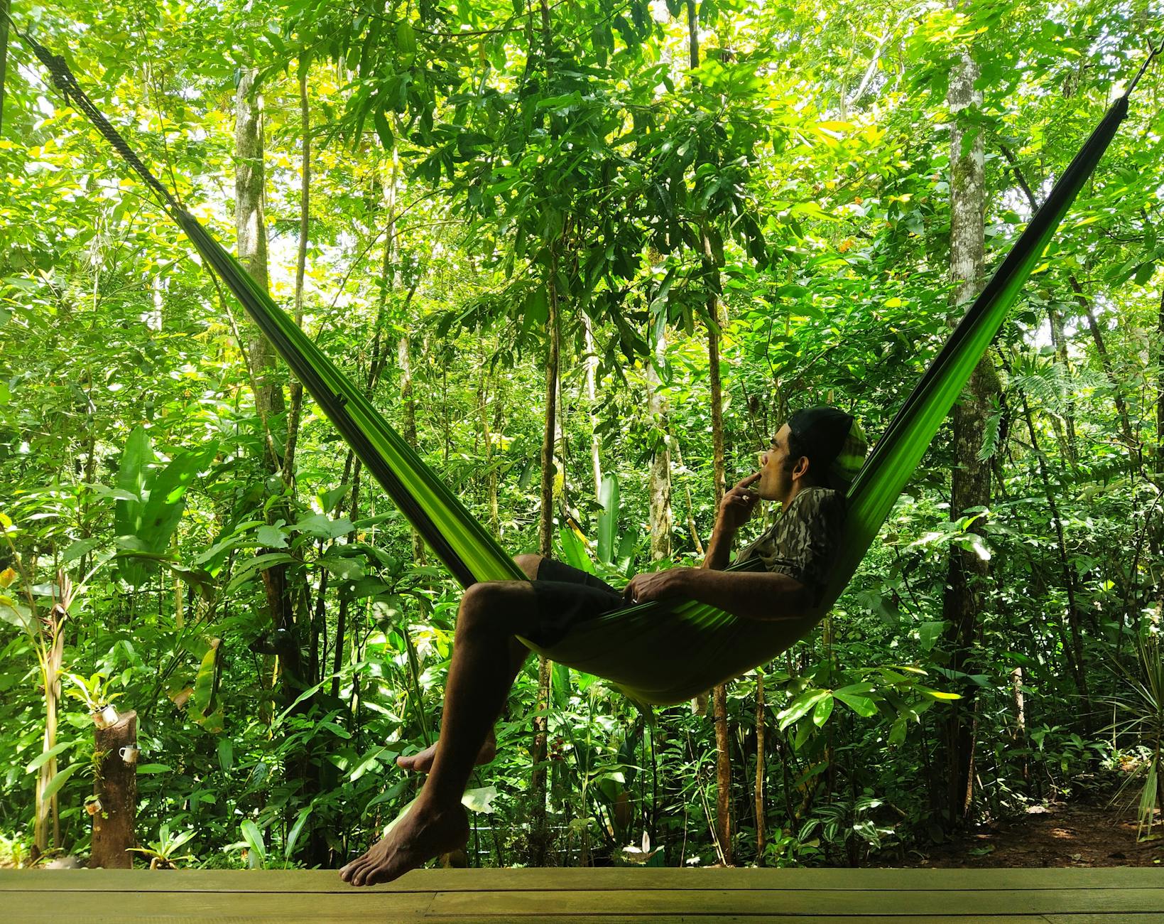 Learn More About Eco-Friendly Hammocking