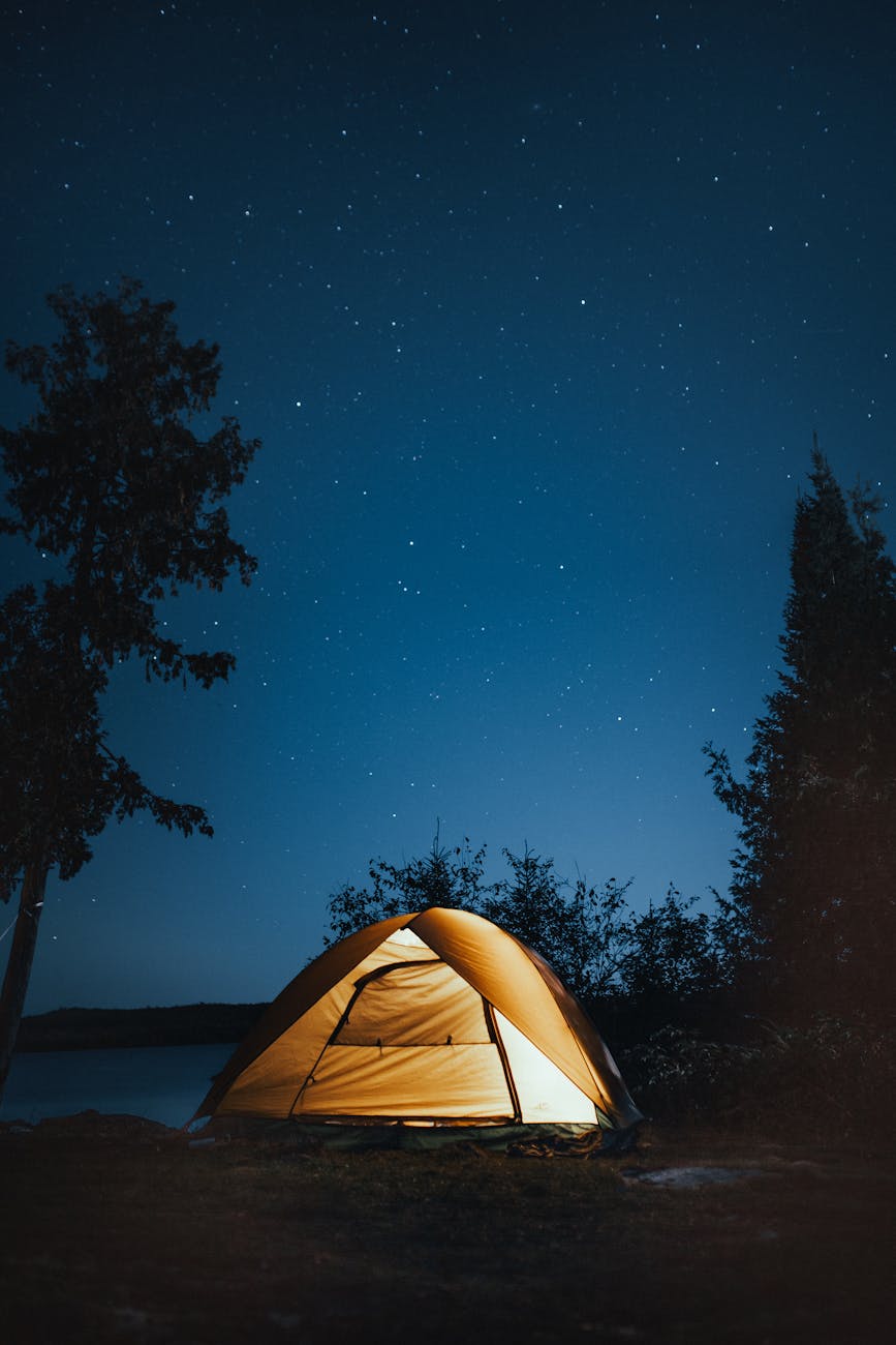 a serene campsite under a starry sky in ely minnesota perfect outdoor adventure setting