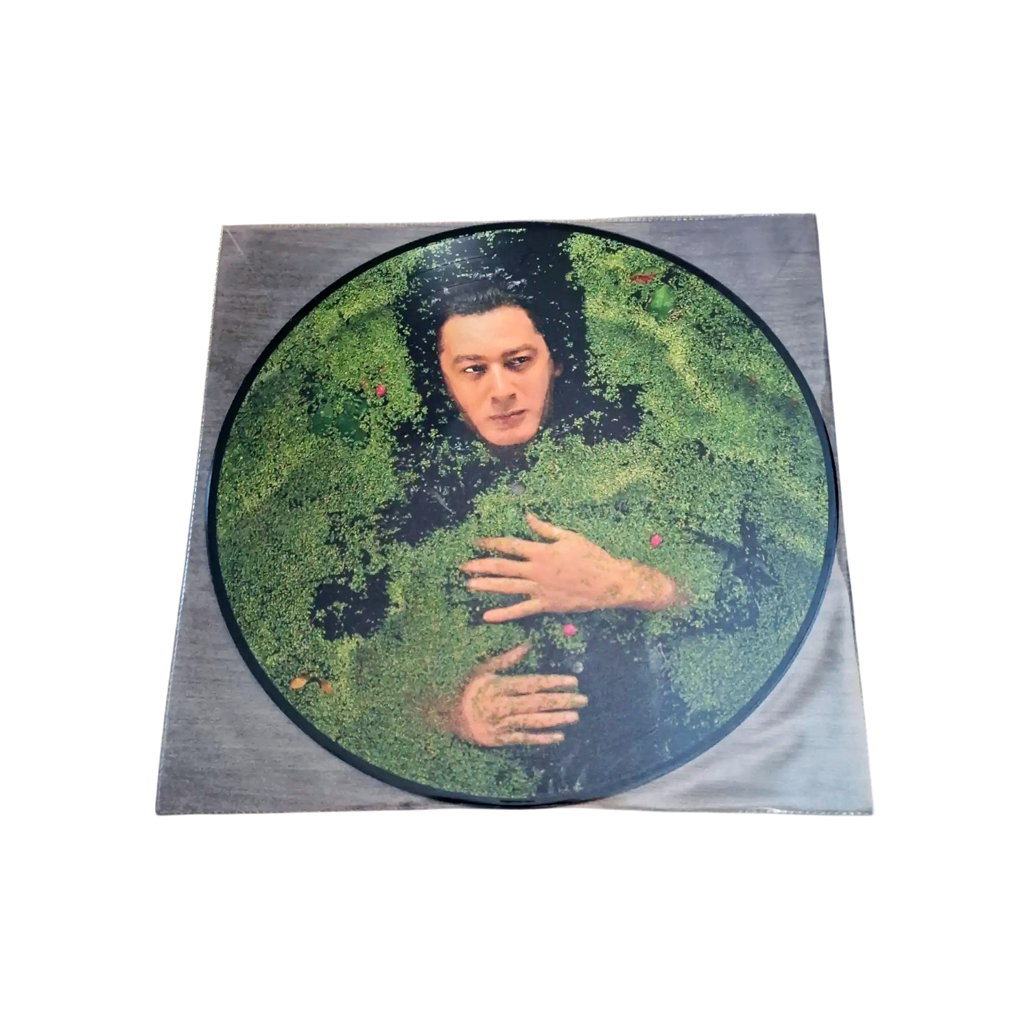 a28e6de0ec34f519708864026bfafc41