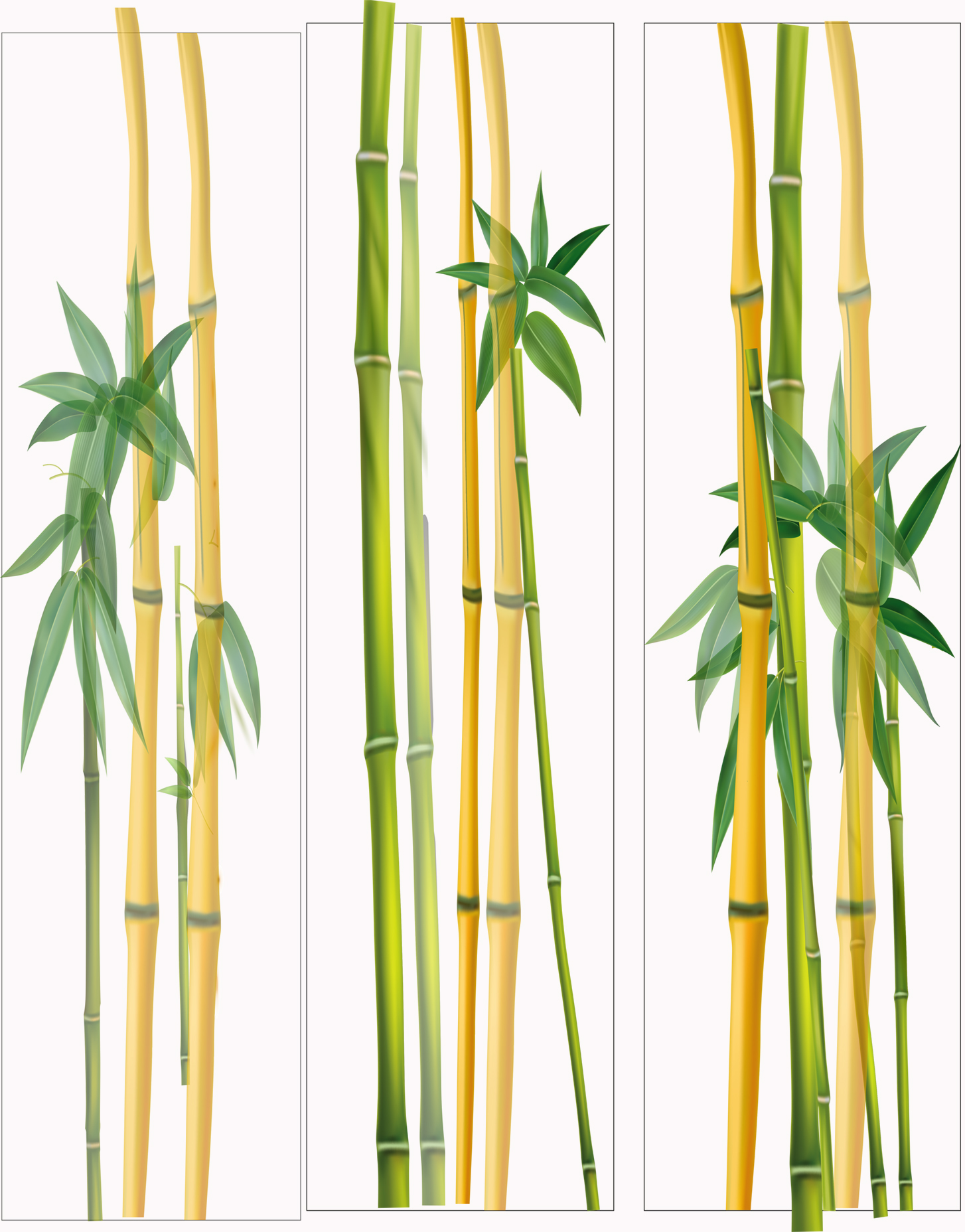 Design bambou 8