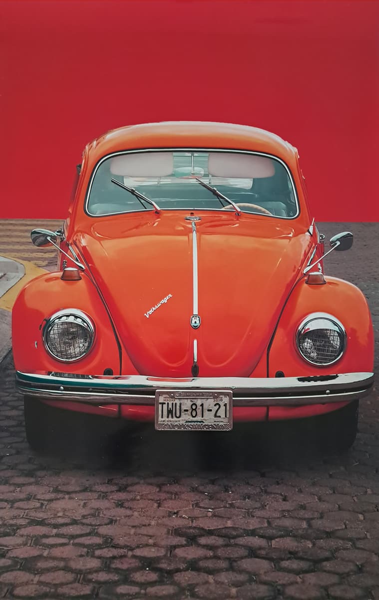 coccinelle-orange-de-face