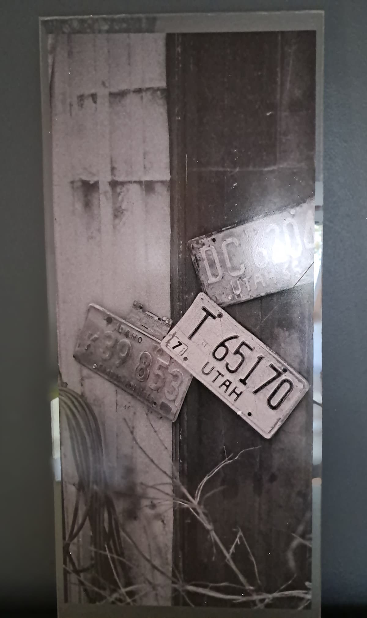 plexi-creation-black-and-white-1