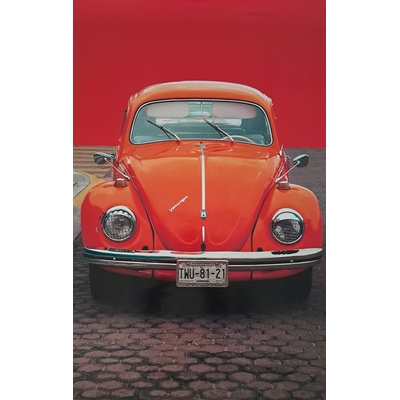 coccinelle-orange-de-face