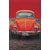coccinelle-orange-de-face