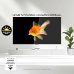 81ogSPB+lCL._AC_SL1500_