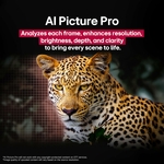 81AcYWSALHL._AC_SL1500_