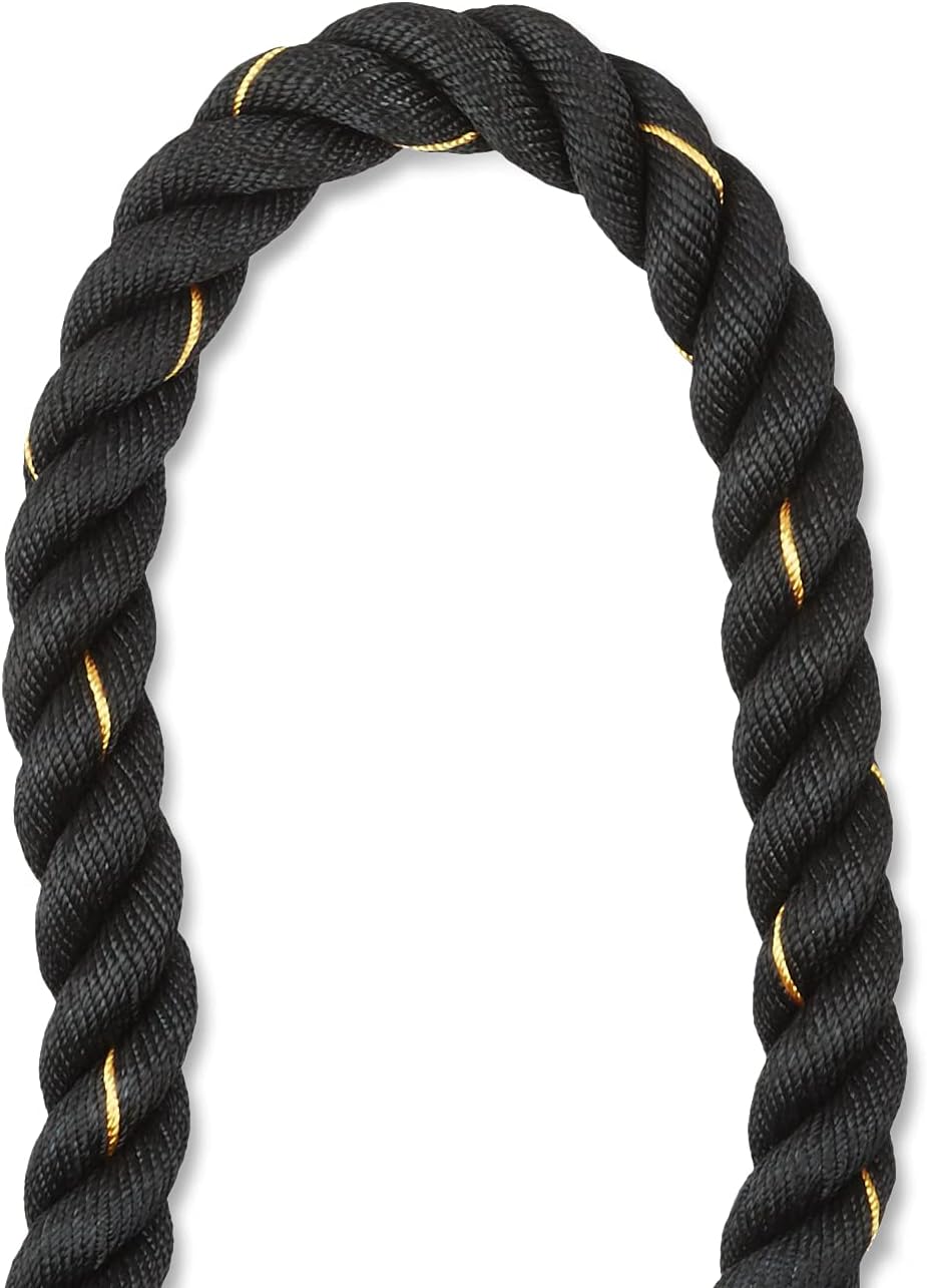 61EHrcDcuyS._AC_SL1500_