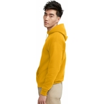 61QxNj6UMEL._AC_SL1500_