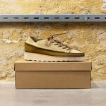 Zardus Alves 2 Nubuk Moss Suede Senape vue boite