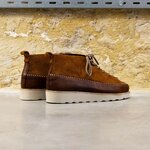 Zardus Fortes Brave Cat Chestnut vue paire drr