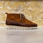 Zardus Fortes Brave Cat Chestnut vue ext