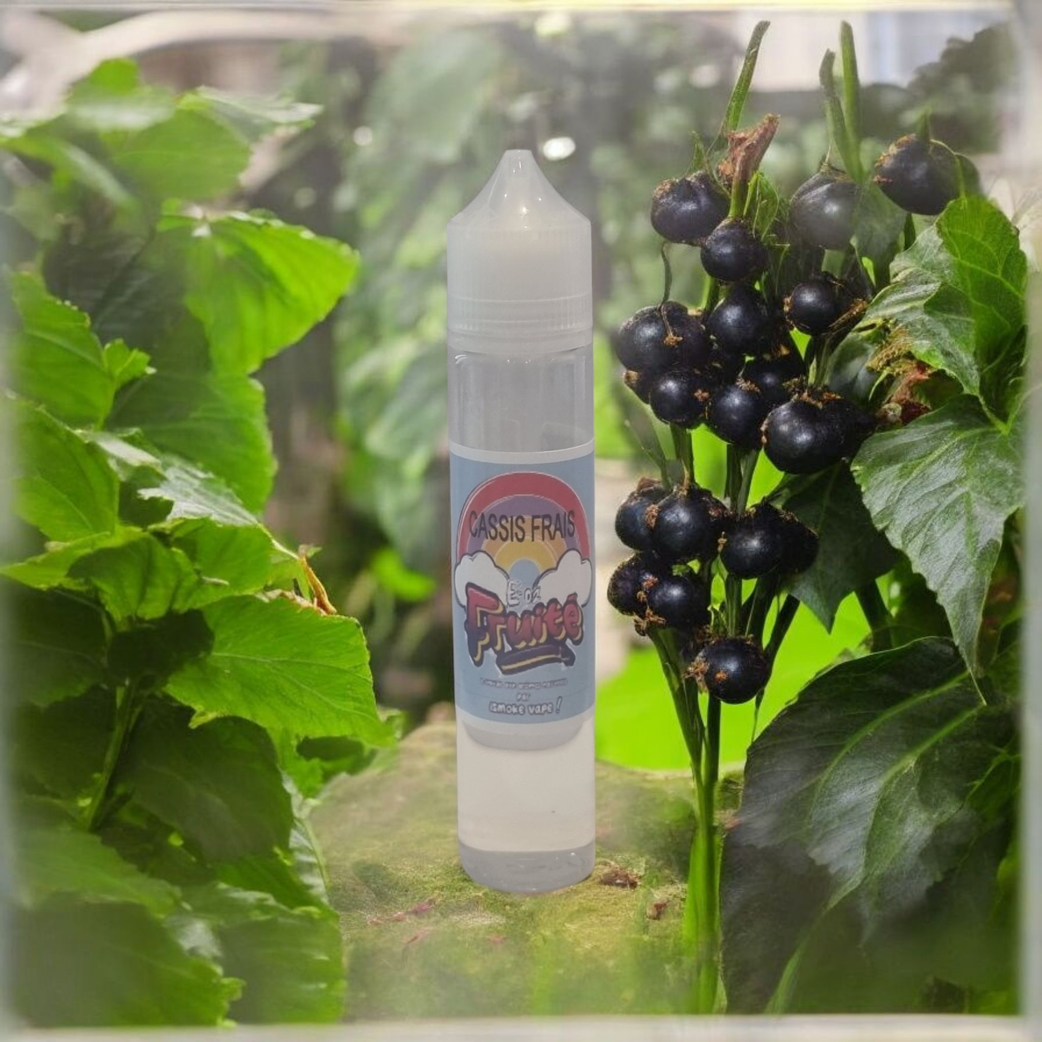 Cassis frais