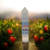fraise passion frais