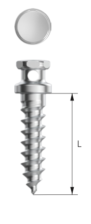 2.0 IMF Screw BH MILAE