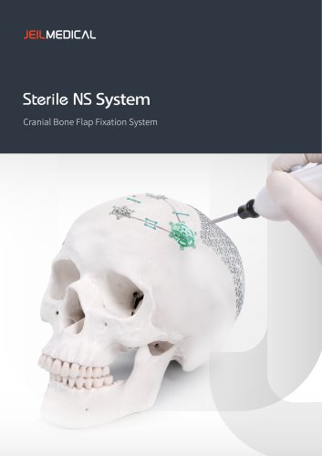 ns system