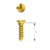 1.3 Micro Screw MILAE