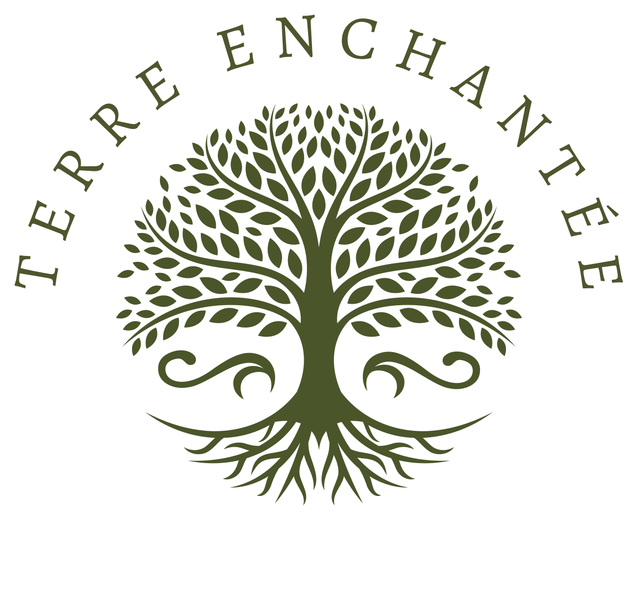 TERRE ENCHANTEE