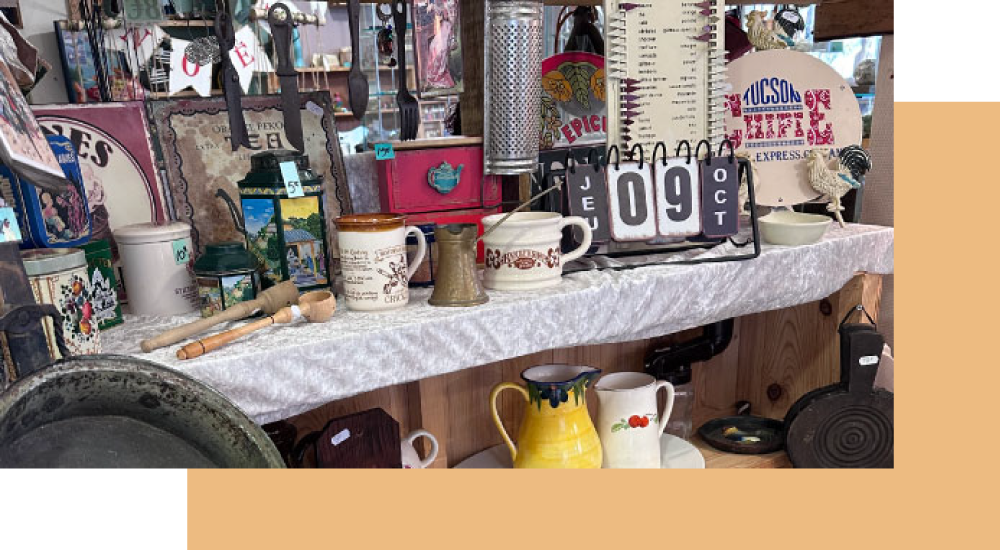 crea terre enchantee vignette cabinet curiosite