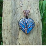 DSC00922