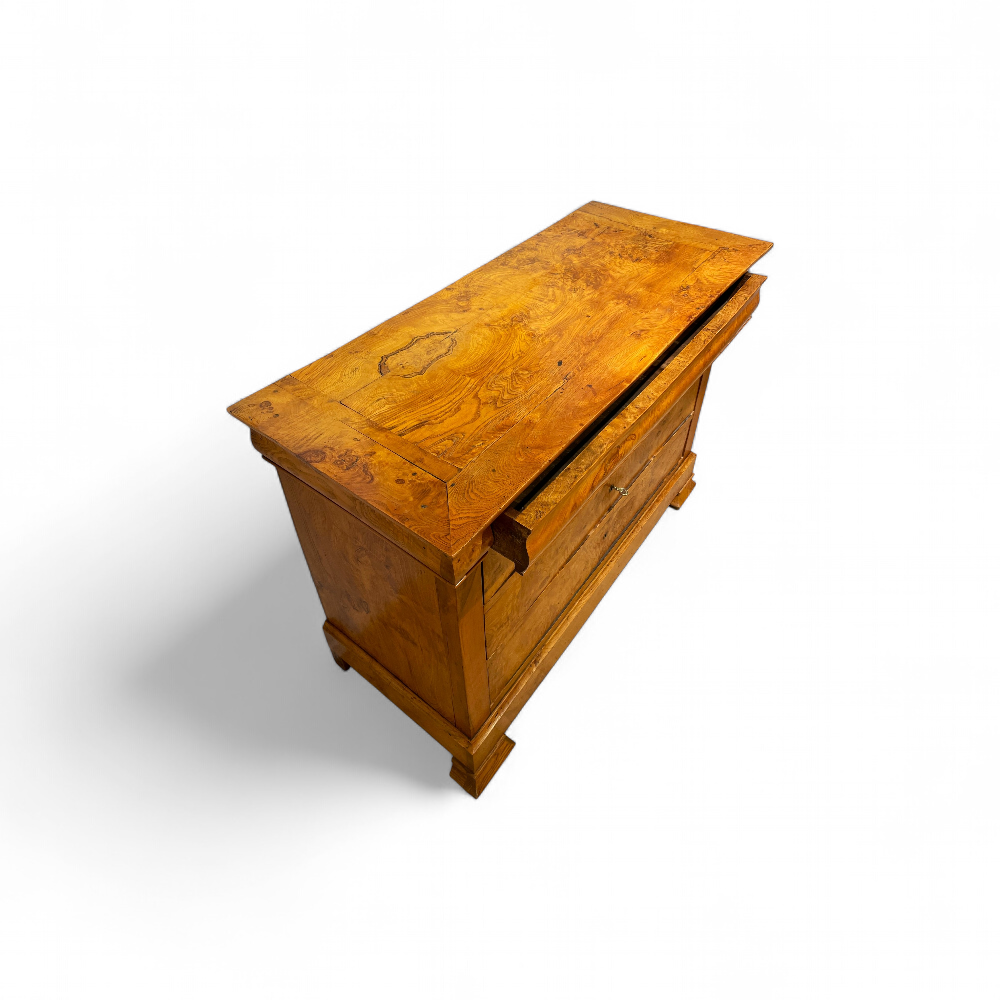 commode-charles-x-loupe-orme-circa-1830-7bis