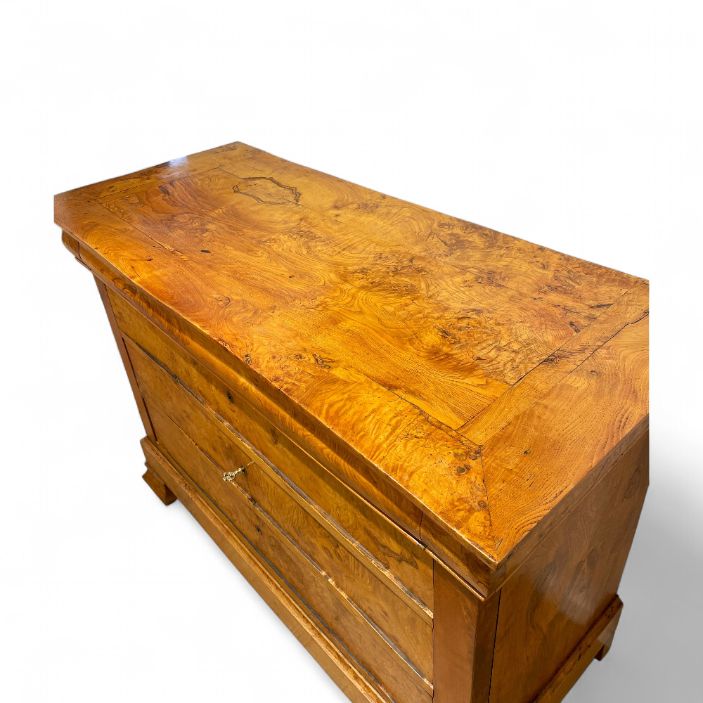 commode-charles-x-loupe-orme-circa-1830-14