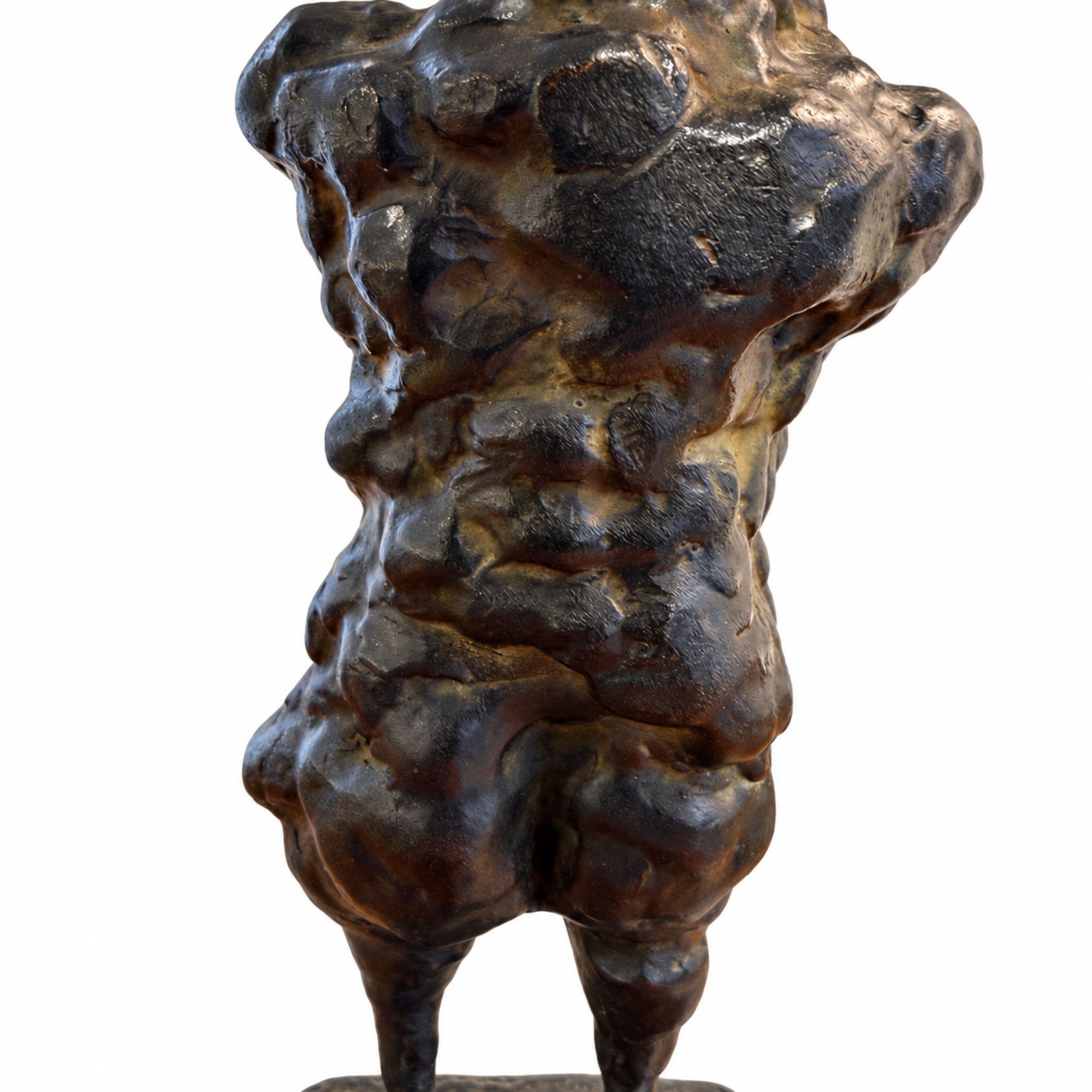 Petite Venus_Paul de pignol_2015_8