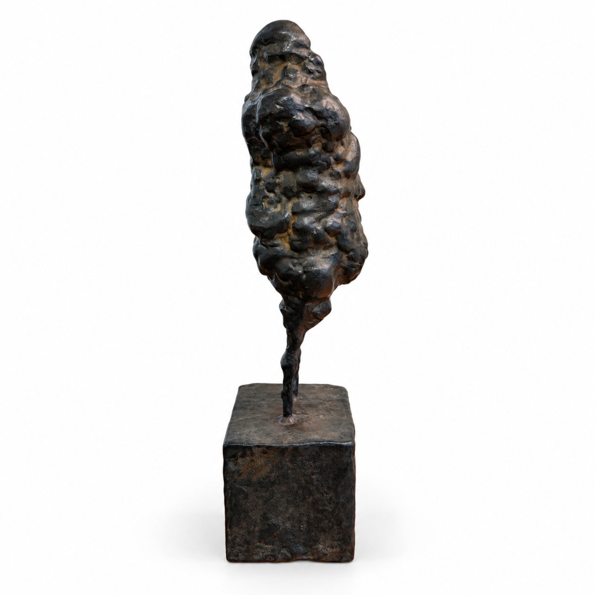 Petite Venus_Paul de pignol_2015_2