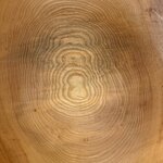 Coupe profonde en frêne par Ralph Ribour_5