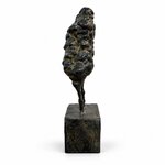Petite Venus_Paul de pignol_2015_3