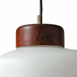 suspension_opaline_reggiani_1960_4