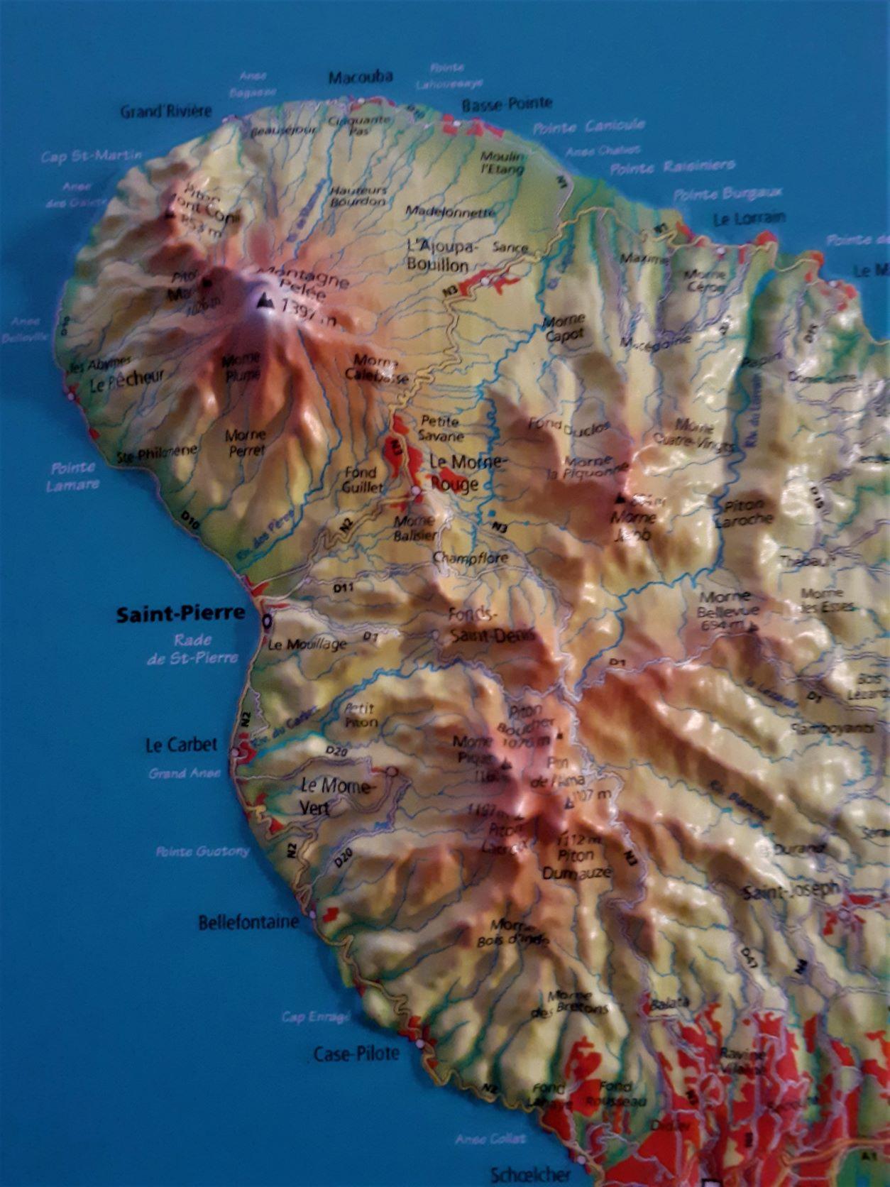 D972_Martinique-detail1