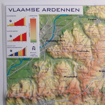 vlaamse ardenen carre