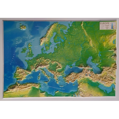 9782361681203