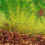 R14-Midi-Pyrenees-detail