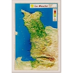 D50-Manche