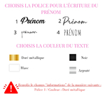 Visuel protege passeport