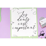 Message petite souris dents 34_Pamela Loops