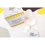 Oeuf annonce grossesse mariage 14_Pamela Loops