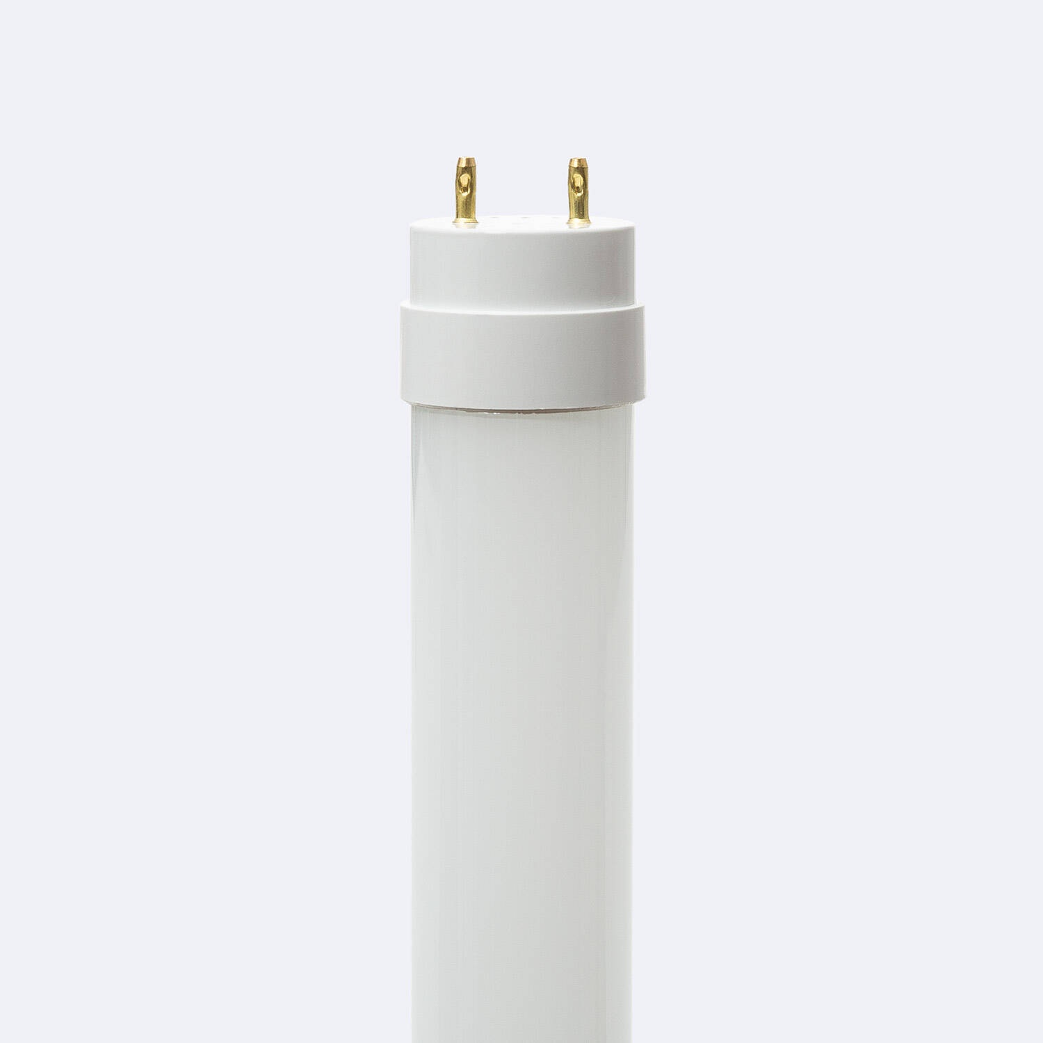 uc?id=1bPicEqeCIP8PFdIEloHszhOHZMB-pKvX