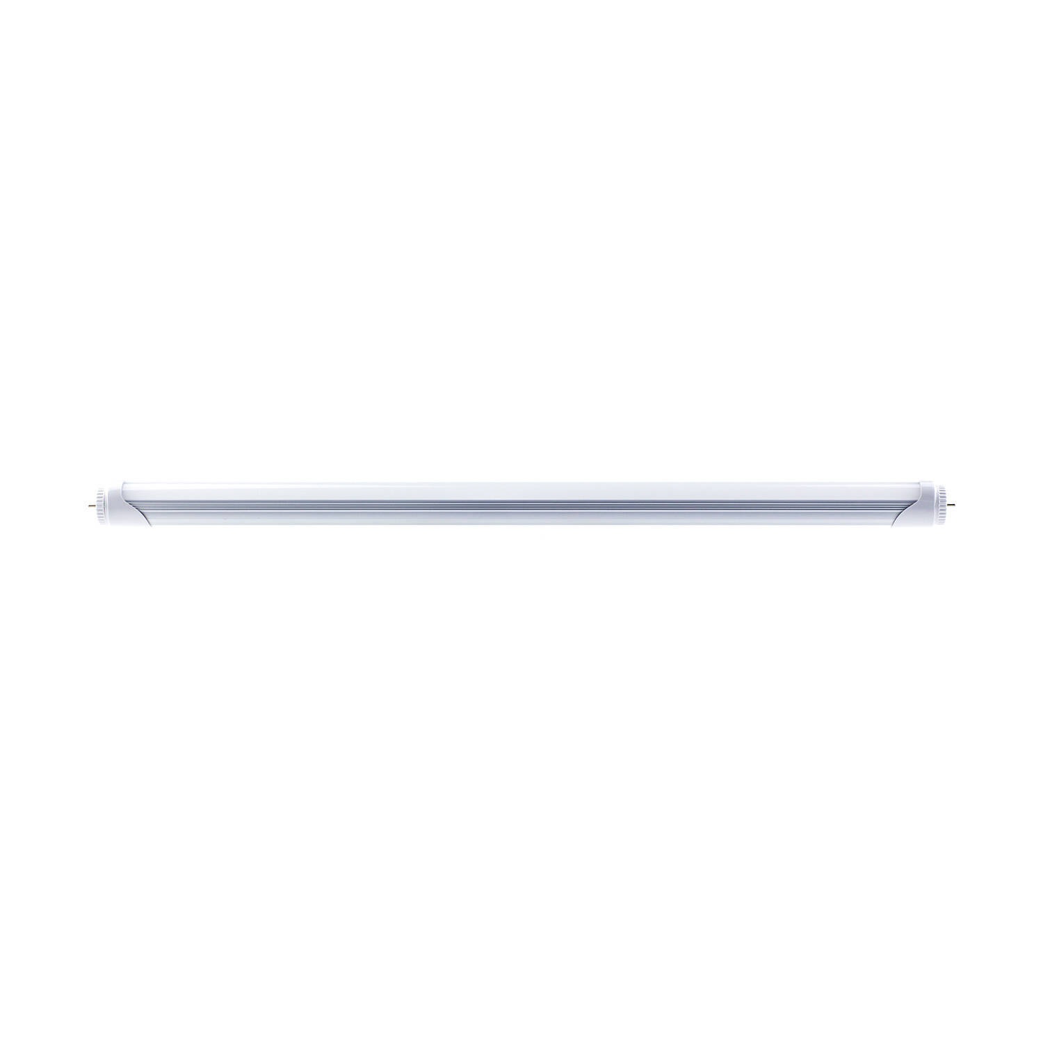 uc?id=1wQRSVbWkFPTuDpwwihJGeY8ChEA04PTB