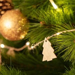 uc?id=1h_tOG8ePmv80irGLDedscJjXXO1D1jAF