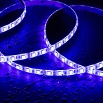 uc?id=1ybkZviYRLLX1wCCwcdbWmbFFod9s7dBU