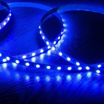 uc?id=1el88D7QsSsBTI_h3vNz4YVmq16ITckbV