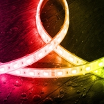uc?id=1egINjlSyMPalBvqeIwTeW-J7Pi2JVyWw