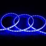 uc?id=10XTaumB1nQtVth3rboo5A5zWihsQGjfL
