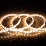 uc?id=1-Vw9NxuqCYF8g0eLl9sTj0tR10Kt_yyO